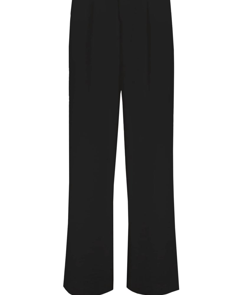 Front of a size Large Sorrento Wide Leg Pant in Black in Black by bishop + young. | dia_product_style_image_id:339912